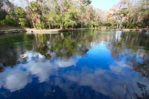 Florida Springs Clean Water