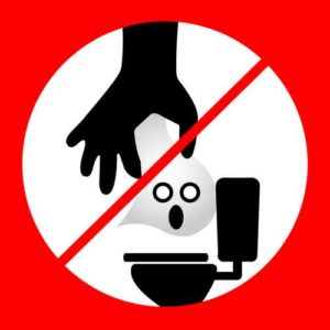 No Flushing Flushable Wipes