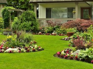 disguise septic tank cover