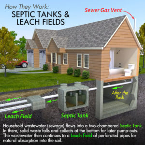 5 Appliances That Could Be Hurting Your Septic System