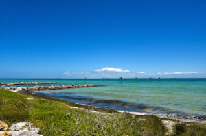 Estuary in Florida | National Estuary Program