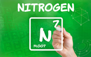 Nitrogen in Septic Systems