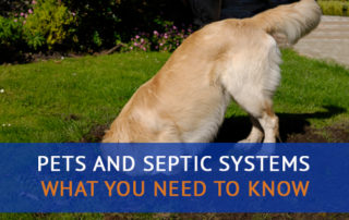 Pets and Septic Systems