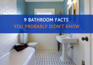 Photo of a Bathroom, "9 Bathroom Facts Your Probably Didn't Know"