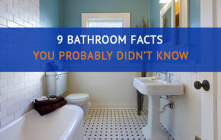 Photo of a Bathroom, "9 Bathroom Facts Your Probably Didn't Know"