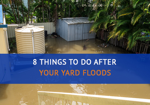 8 Things to Do After Your Yard Floods