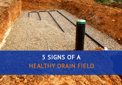 5 Signs of a Healthy Drain Field