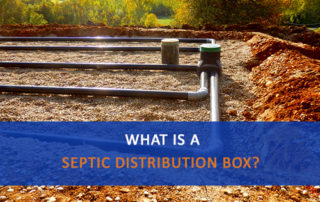 Image of Drain Field with Words: "What is a Septic Distribution Box?"