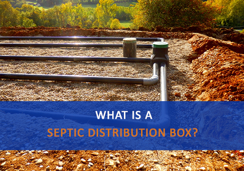 What is a Septic Distribution Box? - Advanced Septic Services