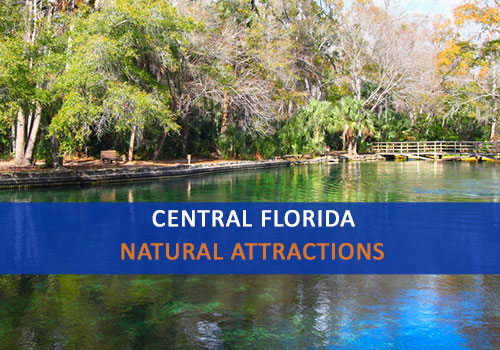 Central Florida Natural Attractions and Things to Do in Florida, Advanced Septic Systems