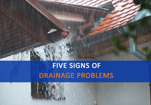 Five Signs of Drainage Problems in Your Yard, Advanced Septic Services of Florida