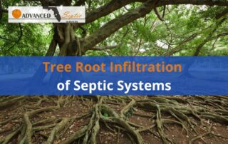 Image of Tree Roots with Words "Tree Root Infiltration of Septic Systems"