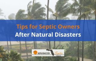 Image of Palm Trees in a Hurricane with Words "Tips for Septic Owners After Natural Disasters"