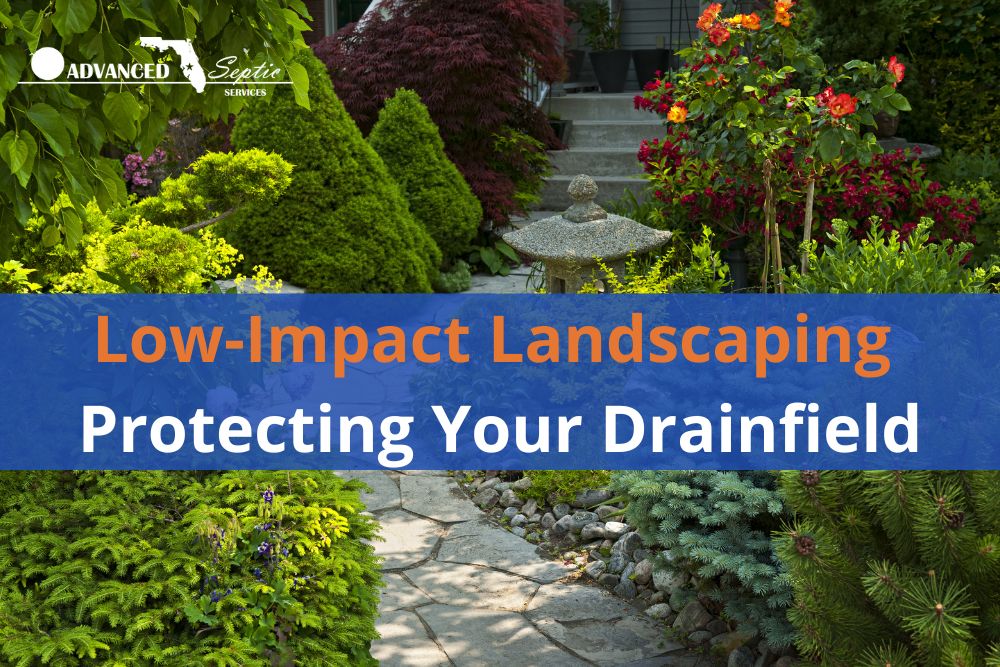Image of Lush Backyard Landscaping with Plants and Shrubs